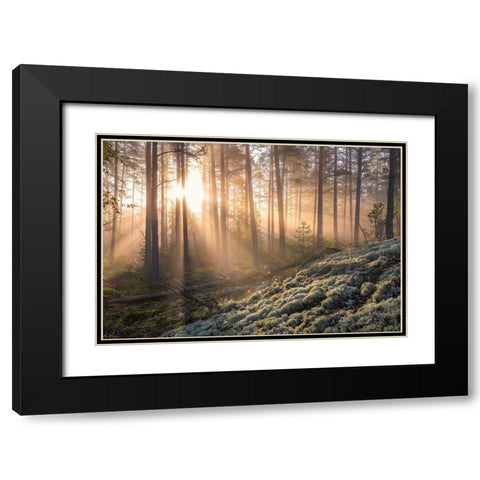 Fog In The Forest With White Moss In The Forground Black Modern Wood Framed Art Print with Double Matting by Lindsten, Christian