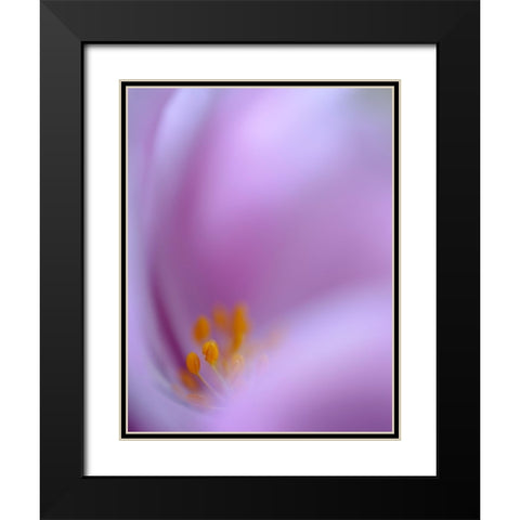 Secret Dream Black Modern Wood Framed Art Print with Double Matting by jealousy