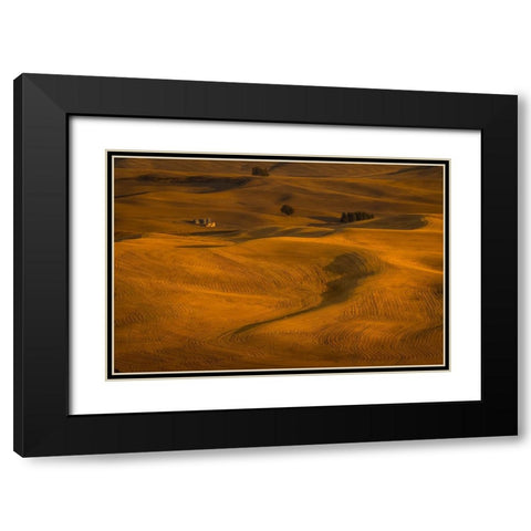 Wheat Field In Sunset Black Modern Wood Framed Art Print with Double Matting by Wang, David