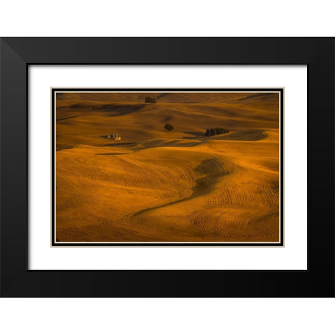 Wheat Field In Sunset Black Modern Wood Framed Art Print with Double Matting by Wang, David