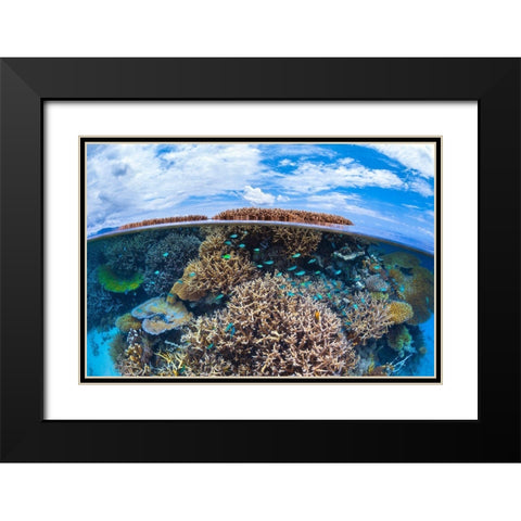Split Level From Mayotte Reef Black Modern Wood Framed Art Print with Double Matting by Gabriel, Barathieu
