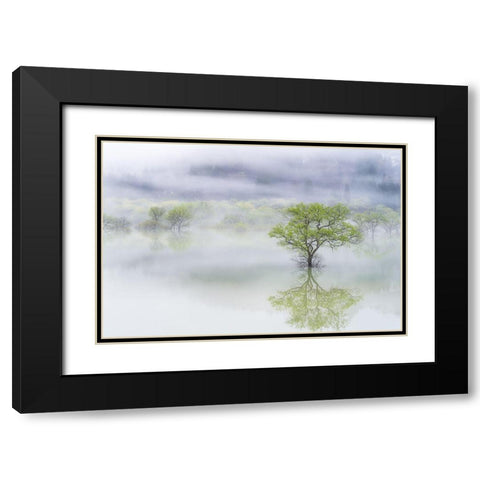 Dreamy Tree Black Modern Wood Framed Art Print with Double Matting by Saowanee, Suntararak