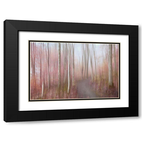 Soft Autumn Black Modern Wood Framed Art Print with Double Matting by Sillen, Christina