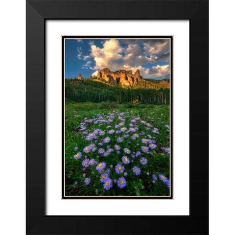 Canyon And Daisies Black Modern Wood Framed Art Print with Double Matting by Xu, Mei