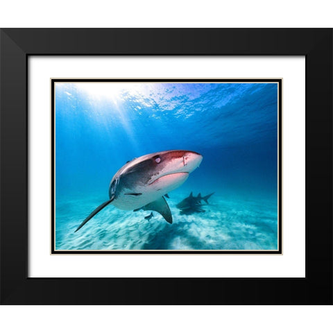 Into The Sun Black Modern Wood Framed Art Print with Double Matting by Melesan, Serge