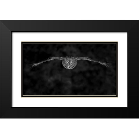Great Gray Owl In Fly Black Modern Wood Framed Art Print with Double Matting by Wang, Bo