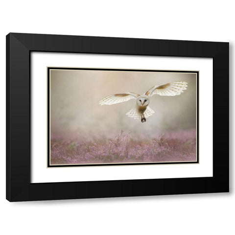 Lovely Black Modern Wood Framed Art Print with Double Matting by Plovie, Kevin