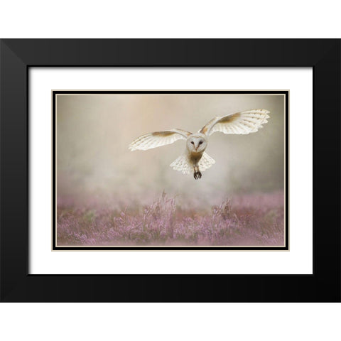 Lovely Black Modern Wood Framed Art Print with Double Matting by Plovie, Kevin