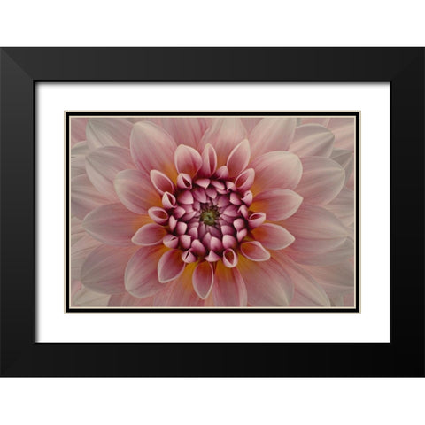 Blush Black Modern Wood Framed Art Print with Double Matting by Urbanski, Richard