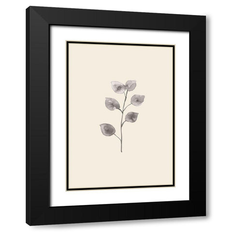 Eucalyptus Twig Black Modern Wood Framed Art Print with Double Matting by 1x Studio