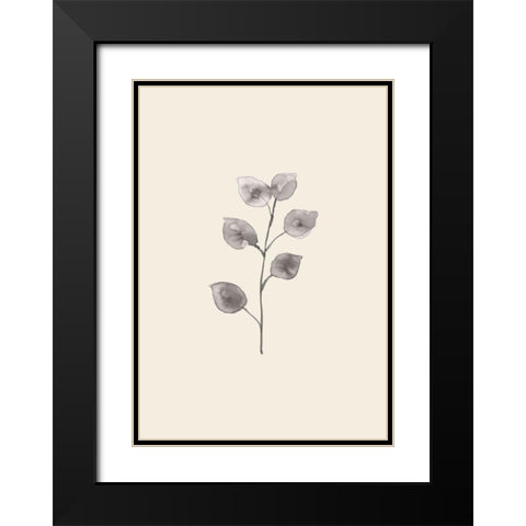 Eucalyptus Twig Black Modern Wood Framed Art Print with Double Matting by 1x Studio