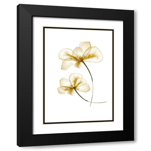 Pressed Flowers Black Modern Wood Framed Art Print with Double Matting by 1x Studio II
