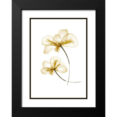 Pressed Flowers Black Modern Wood Framed Art Print with Double Matting by 1x Studio II