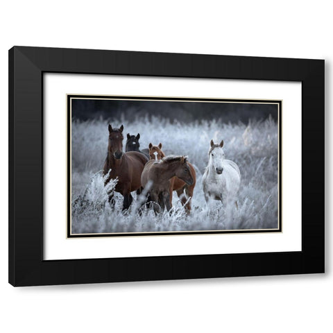 One Frosty Morning.. Black Modern Wood Framed Art Print with Double Matting by Sokolovsky, Vlad