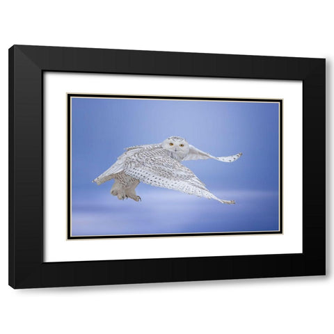 See Me Black Modern Wood Framed Art Print with Double Matting by Huang, Tao