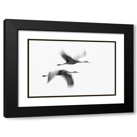 Dream Couple Black Modern Wood Framed Art Print with Double Matting by Fan, John