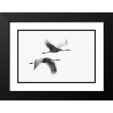 Dream Couple Black Modern Wood Framed Art Print with Double Matting by Fan, John