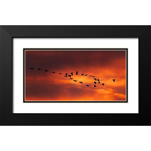 Lord Of The Ring Black Modern Wood Framed Art Print with Double Matting by Xiao, Hanping