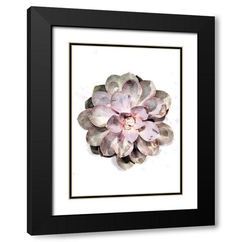 Succulent 01 Black Modern Wood Framed Art Print with Double Matting by 1x Studio II