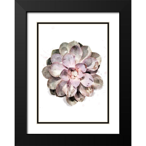 Succulent 01 Black Modern Wood Framed Art Print with Double Matting by 1x Studio II