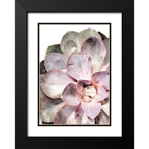 Succulent Close-up Black Modern Wood Framed Art Print with Double Matting by 1x Studio II