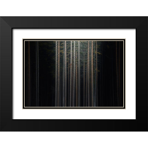 Second Skin Black Modern Wood Framed Art Print with Double Matting by De Franzoni, Thomas