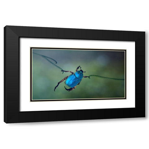 The Acrobat Black Modern Wood Framed Art Print with Double Matting by Hoffman, Jimmy