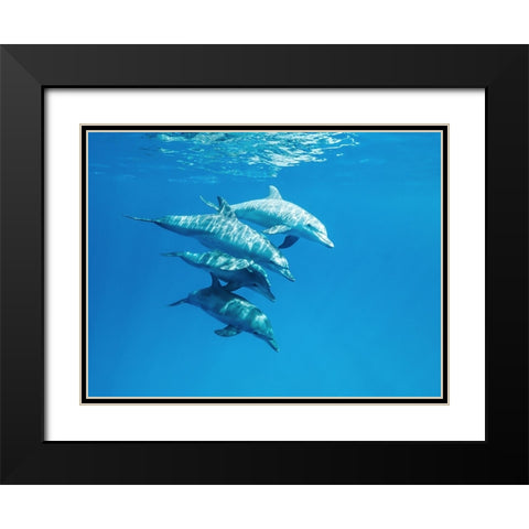 Familly Black Modern Wood Framed Art Print with Double Matting by Melesan, Serge