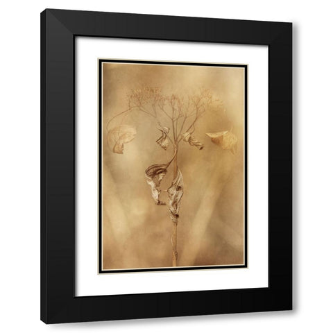Withered Hydrangea_011 Black Modern Wood Framed Art Print with Double Matting by Suzuki, Takashi