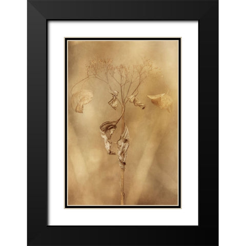 Withered Hydrangea_011 Black Modern Wood Framed Art Print with Double Matting by Suzuki, Takashi