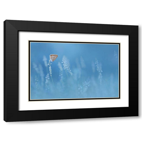 Blues Black Modern Wood Framed Art Print with Double Matting by Pamungkas, Edy