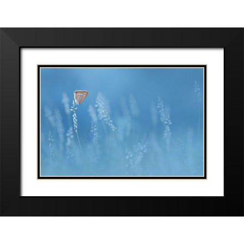 Blues Black Modern Wood Framed Art Print with Double Matting by Pamungkas, Edy
