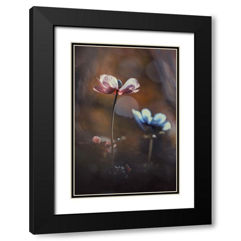 Florilauge Black Modern Wood Framed Art Print with Double Matting by Bravin, Fabien