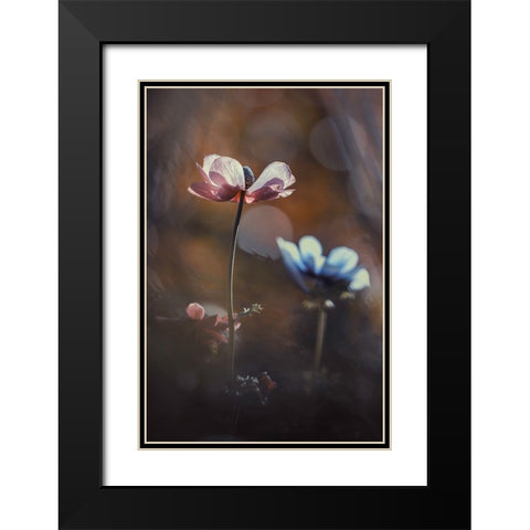 Florilauge Black Modern Wood Framed Art Print with Double Matting by Bravin, Fabien
