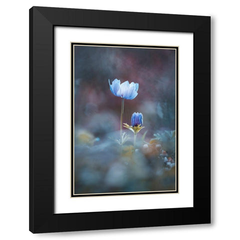Growing Up Black Modern Wood Framed Art Print with Double Matting by BRAVIN, Fabien