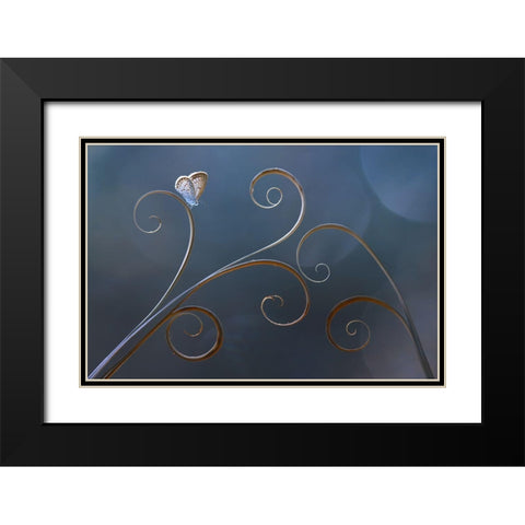 Curve Black Modern Wood Framed Art Print with Double Matting by Pamungkas, Edy