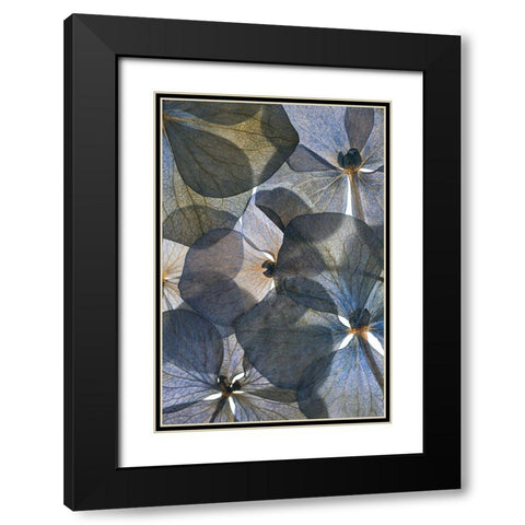 Botanical #26 Black Modern Wood Framed Art Print with Double Matting by Lenka