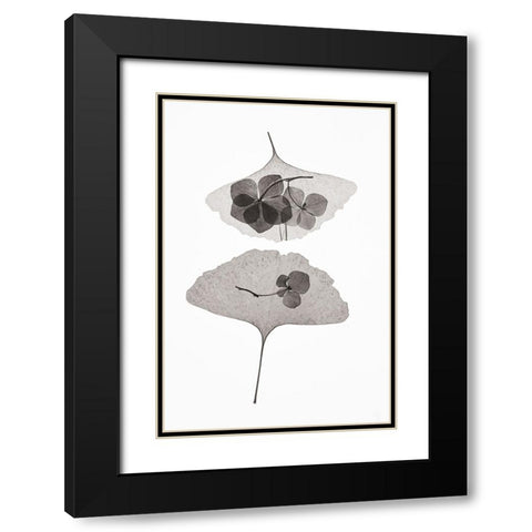 Botanical 35 Black Modern Wood Framed Art Print with Double Matting by Lenka