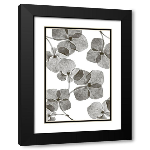 Botanical 39 Black Modern Wood Framed Art Print with Double Matting by Lenka
