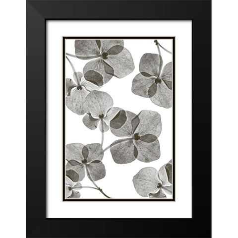 Botanical 39 Black Modern Wood Framed Art Print with Double Matting by Lenka