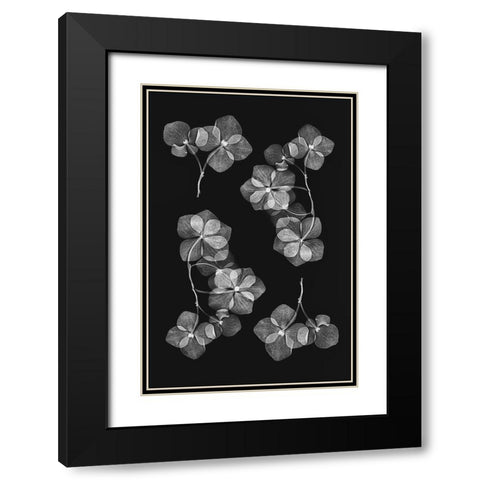 Botanical 46 Black Modern Wood Framed Art Print with Double Matting by Lenka