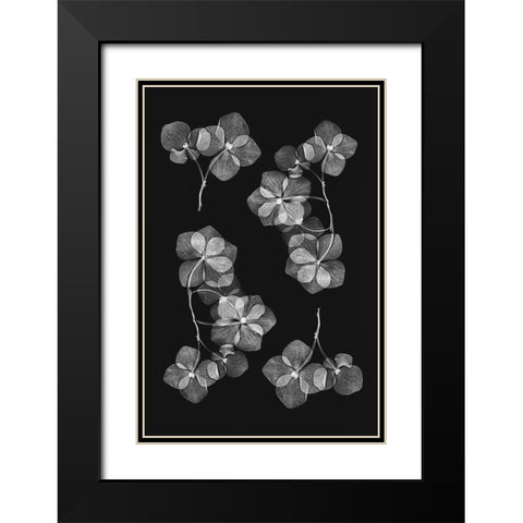 Botanical 46 Black Modern Wood Framed Art Print with Double Matting by Lenka