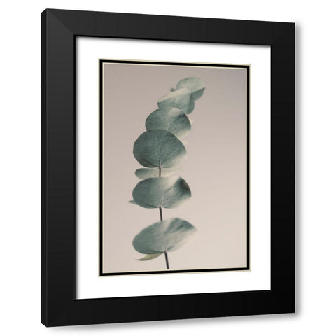 Fragrant Leaves Ll Black Modern Wood Framed Art Print with Double Matting by Westum, Heidi