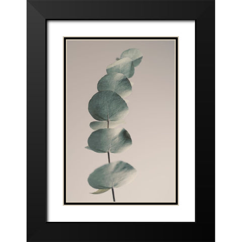 Fragrant Leaves Ll Black Modern Wood Framed Art Print with Double Matting by Westum, Heidi