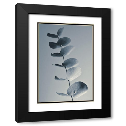 Fragrant Leaves Black Modern Wood Framed Art Print with Double Matting by Westum, Heidi