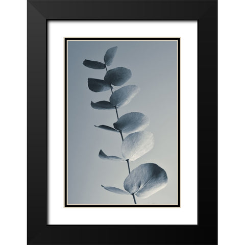 Fragrant Leaves Black Modern Wood Framed Art Print with Double Matting by Westum, Heidi