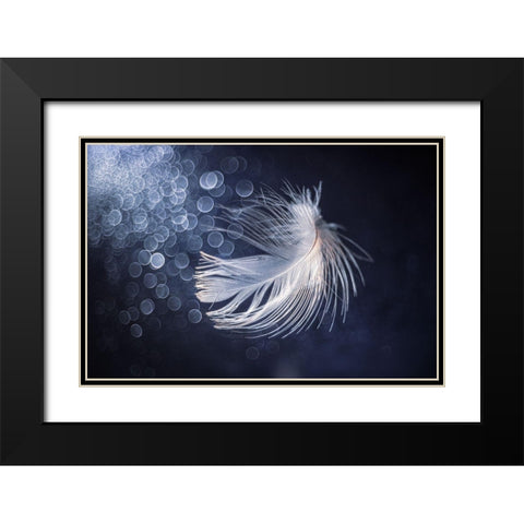 Placidity Black Modern Wood Framed Art Print with Double Matting by Kopcev, Igor
