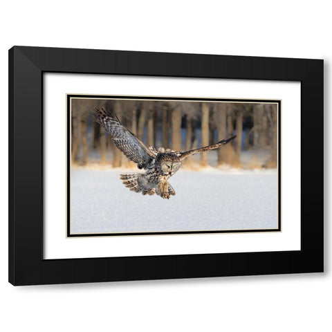 The Morning Catching Black Modern Wood Framed Art Print with Double Matting by Zuo, Jun