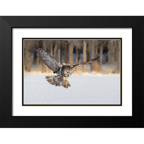 The Morning Catching Black Modern Wood Framed Art Print with Double Matting by Zuo, Jun