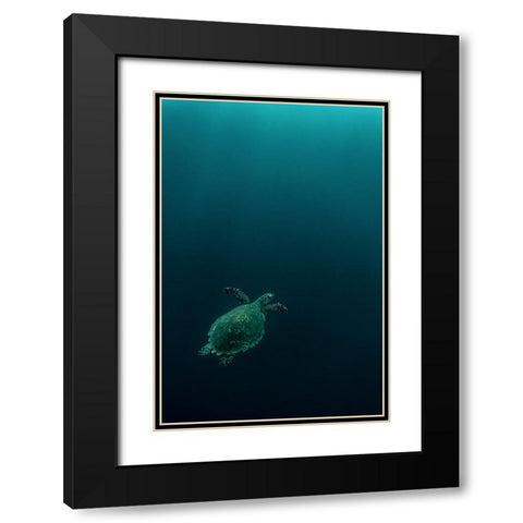 The Fly Of The Hawksbill Black Modern Wood Framed Art Print with Double Matting by Melesan, Serge